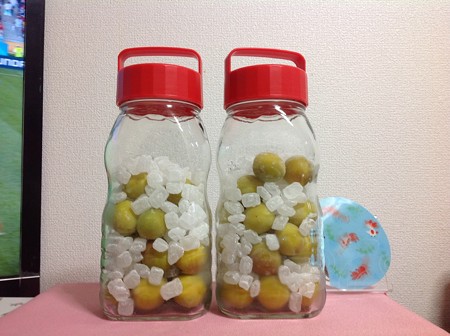 梅ジュース装置