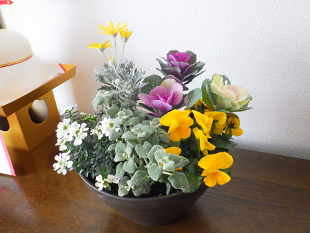 冬の寄せ植え2019
