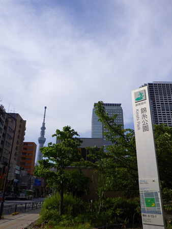 錦糸公園