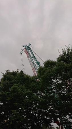キリンが出たぞー
