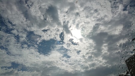 天気雨の目