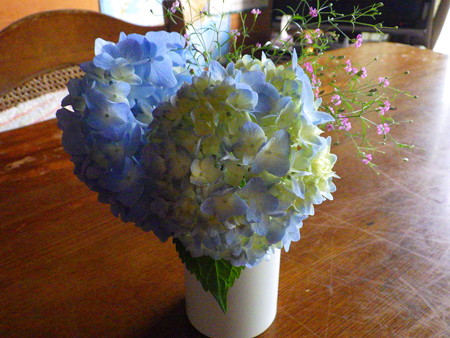 紫陽花もう少し