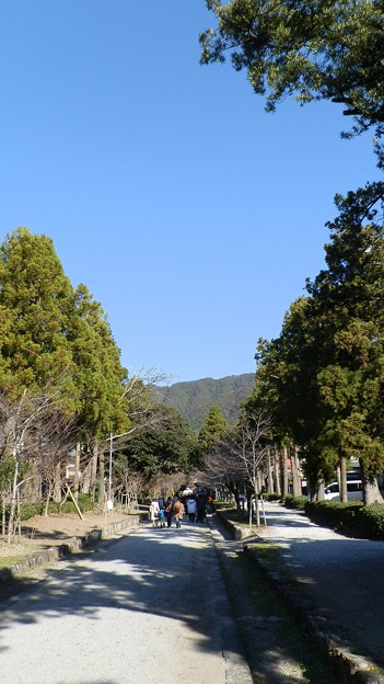 P1012494