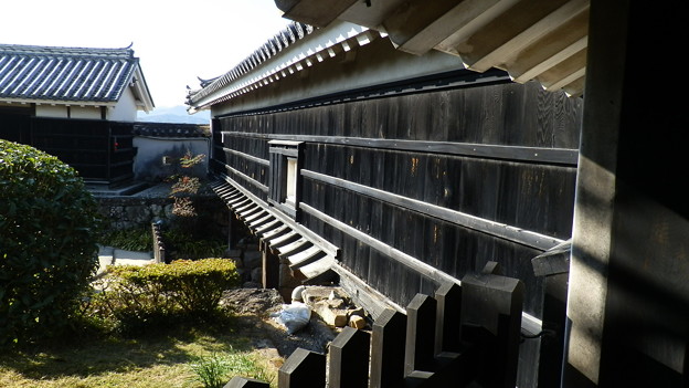P1012696