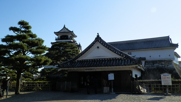 P1012669