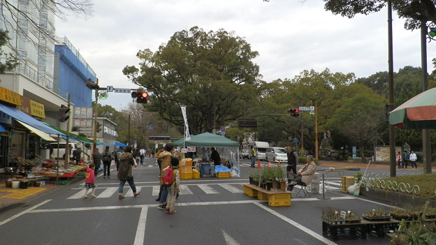 P1032737