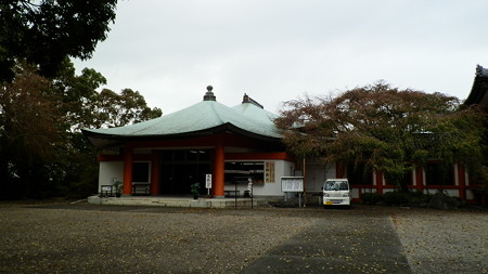 P9082087
