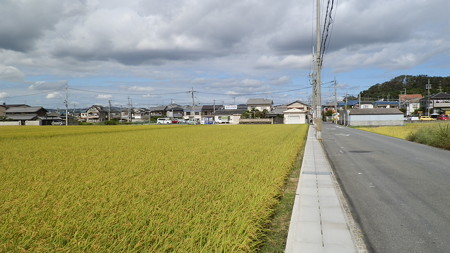 PA072318