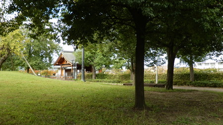 PA072286
