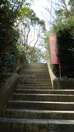 P3311195