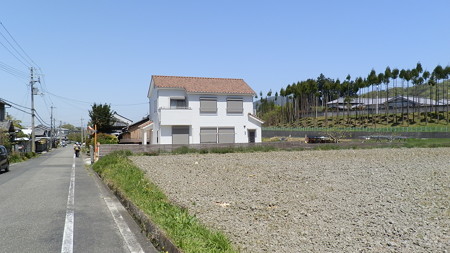 P4201447