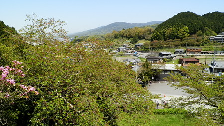 P4201432
