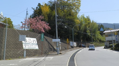P4201419