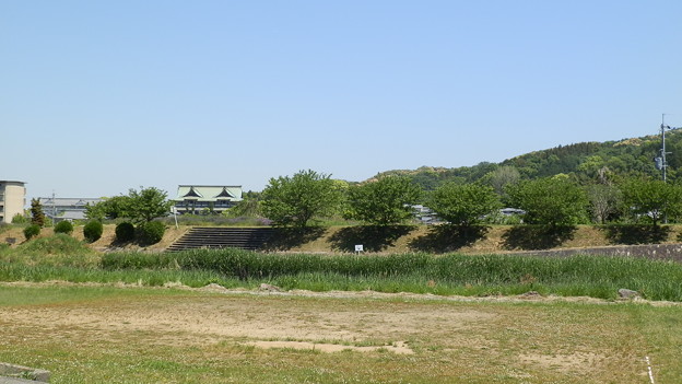P5111664