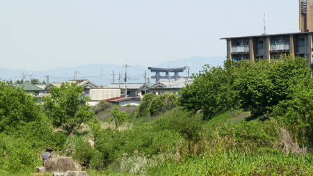 P5111665
