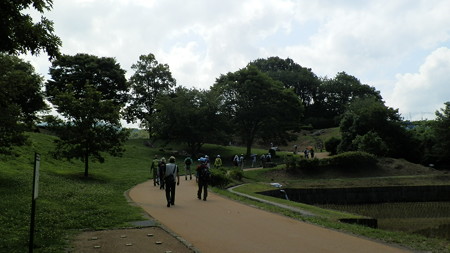 P6222142