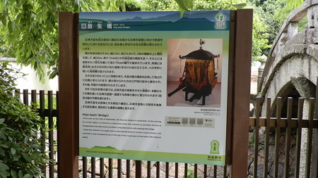 P6292242