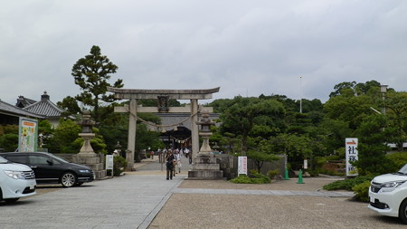 P6292247