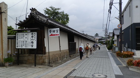 P6292248