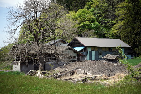DSC04648