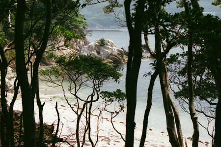 NIKONFE04