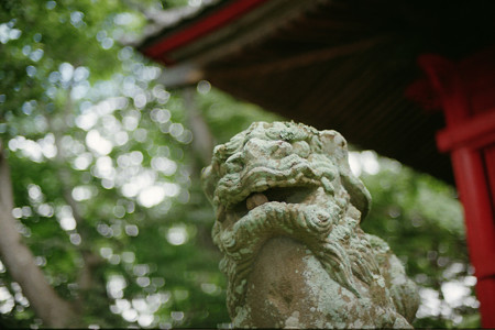 NIKONFE15
