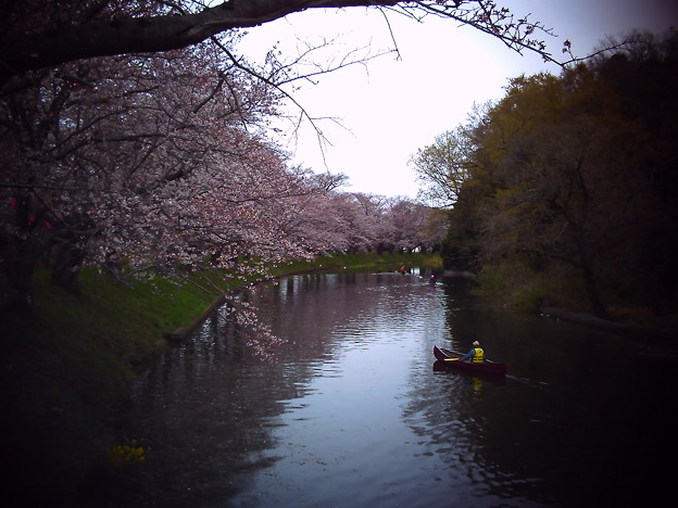 PICT0447