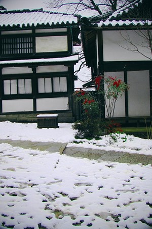 雪の金刀比羅2