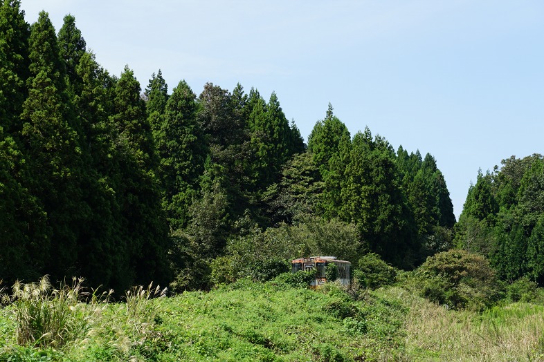 alt