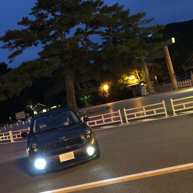 alt