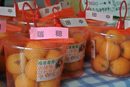倉庫売り場のびわカップ