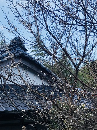 6AB3708B-5337-43A2-8E7C-F5370C64AADF