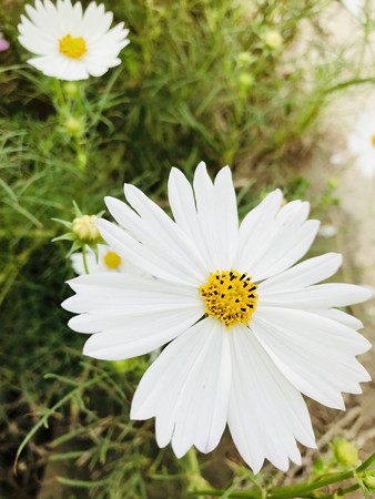 ED9A7801-4D67-4768-A8F0-D9DC075334FF