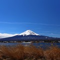 Photos: 河口湖からの富士山