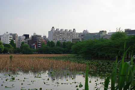 IMGP5081