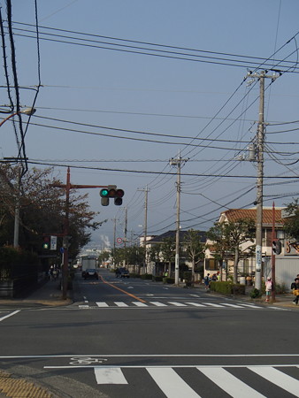 PA226523