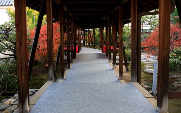 総見院26