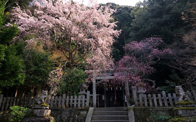 大豊神社10