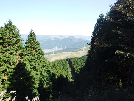 DSCF0275