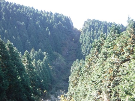 DSCF0272
