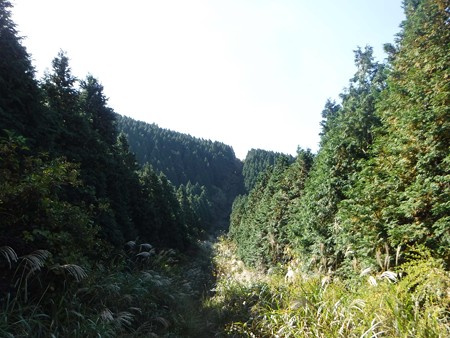 DSCF0271
