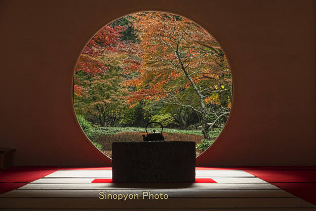 まさしく、鎌倉の秋