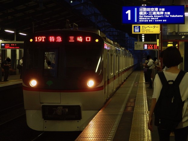 P8135226