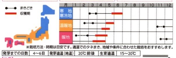 つるなしスナップエンドウ種まき時期 写真共有サイト フォト蔵