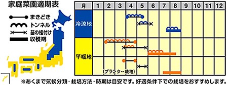 小玉スイカの育て方 種まき時期 3月 4月 と品種選び 暇人主婦の家庭菜園 楽天ブログ