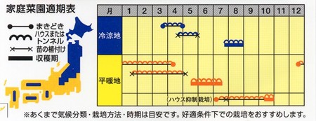 メロンの育て方 種まき3月 4月 暇人主婦の家庭菜園 楽天ブログ