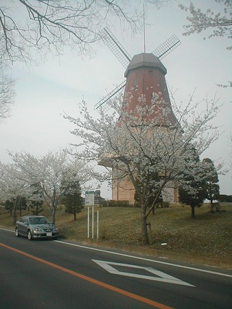 P4040030-1