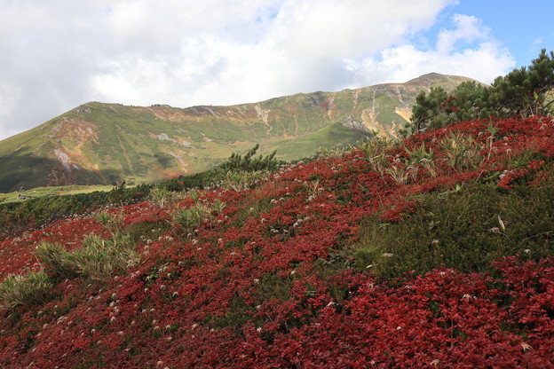 当麻岳と紅葉