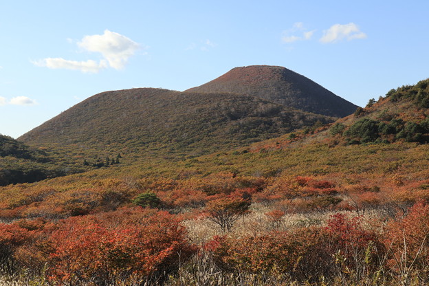 海向山と紅葉