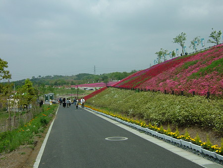 DSCF2651